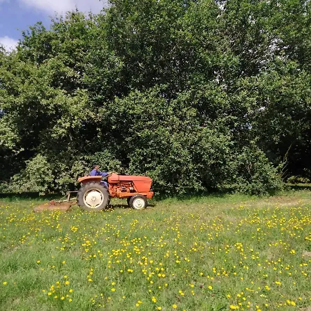 カントリーハウス Pazo Cibran *
