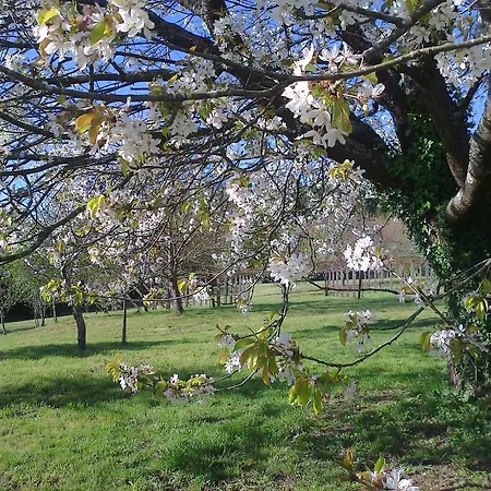 Pazo Cibran カントリーハウス San Xulián de Sales