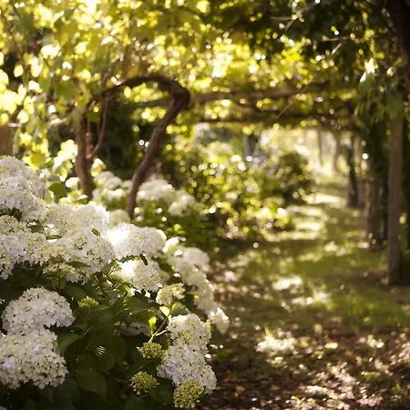 Pazo Cibran カントリーハウス