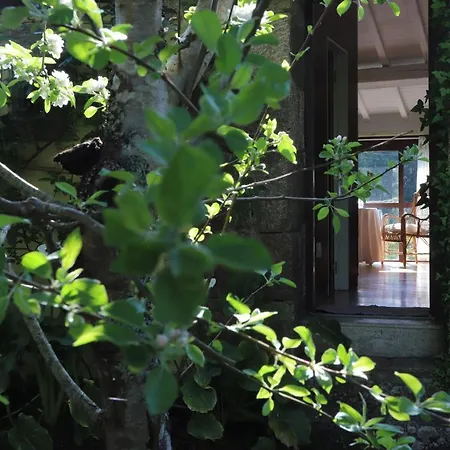 カントリーハウス Pazo Cibran *