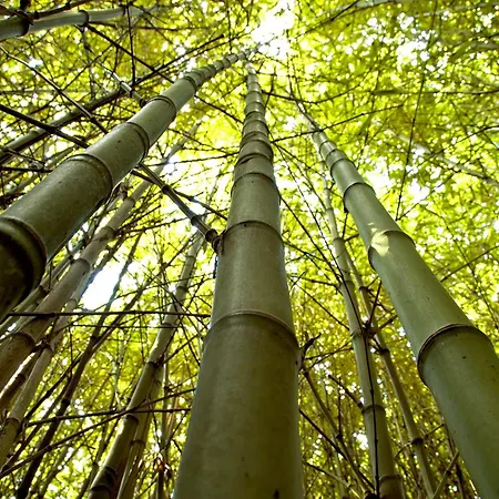 カントリーハウス Pazo Cibran San Xulián de Sales