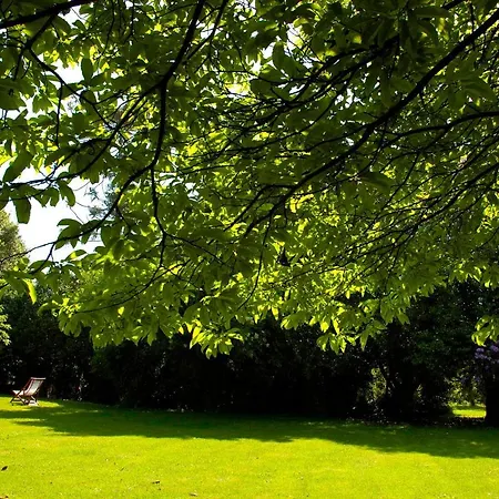 カントリーハウス Pazo Cibran *