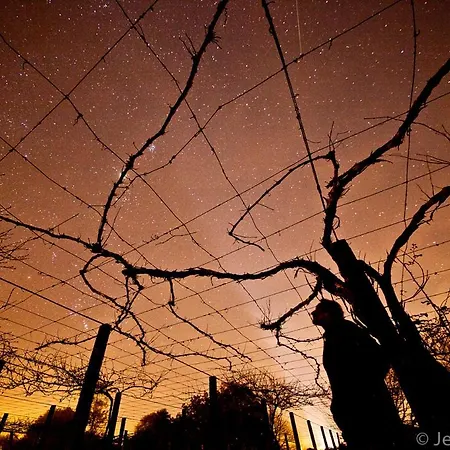 Pazo Cibran カントリーハウス San Xulián de Sales