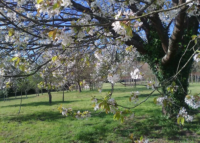 Pazo Cibran Εξοχικό σπίτι San Julian De Sales