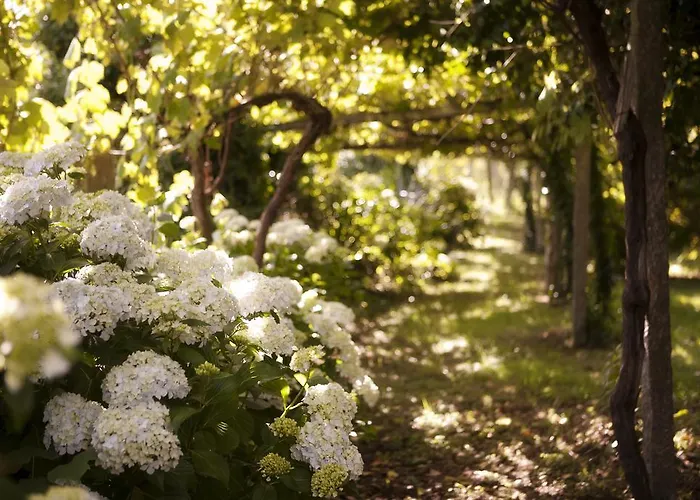 Pazo Cibran Εξοχικό σπίτι