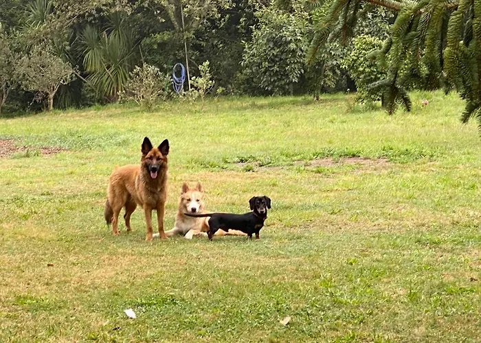 Landsted Pazo Cibran San Julian De Sales