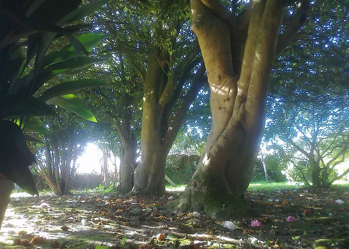 Casa de Campo Pazo Cibrán *