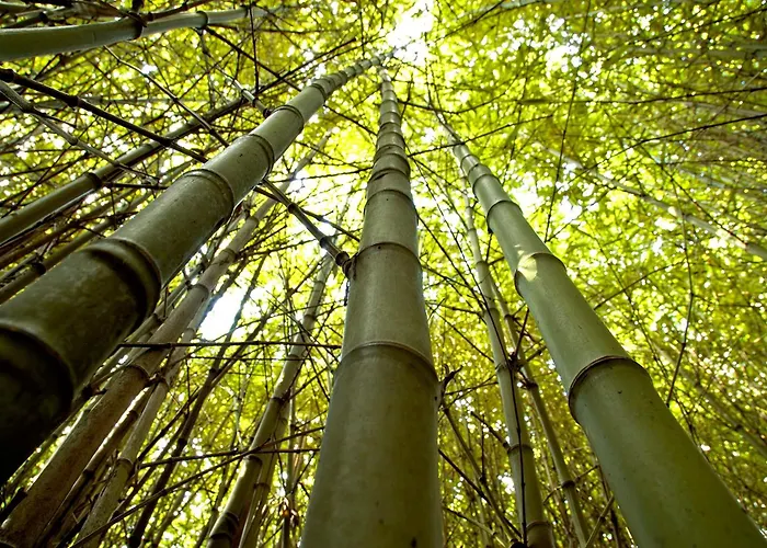 Εξοχικό σπίτι Pazo Cibran San Julian De Sales