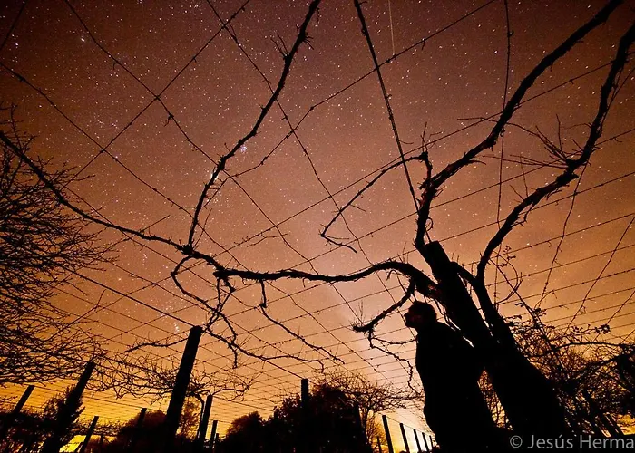 Pazo Cibran Landsted San Julian De Sales